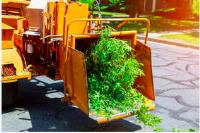 Leeds Tree Care Services image 3